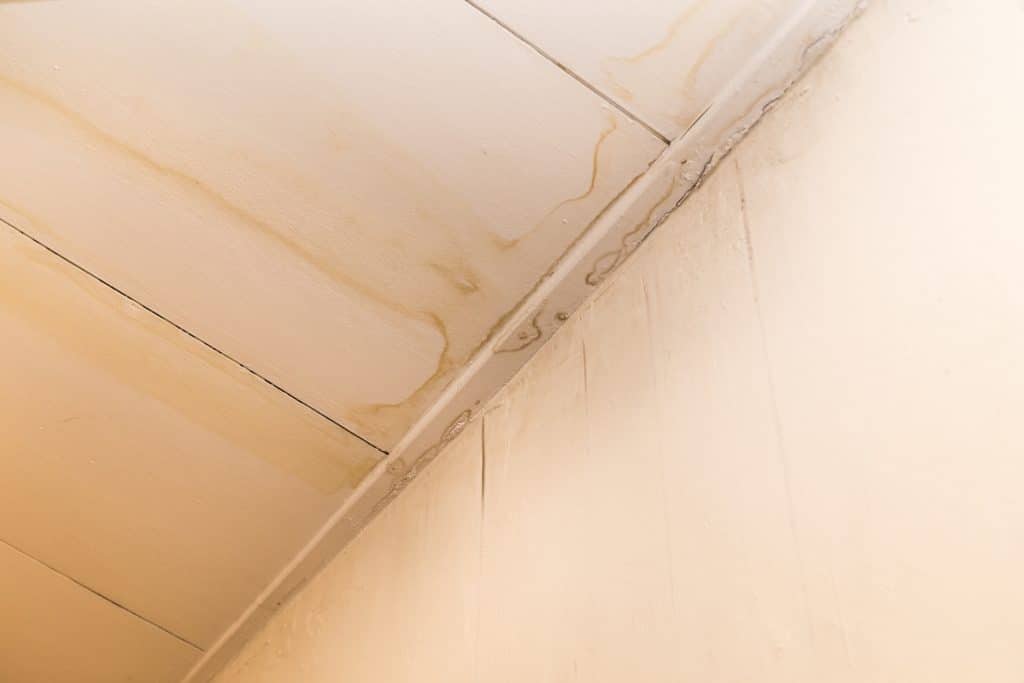 Water Stains on Ceiling